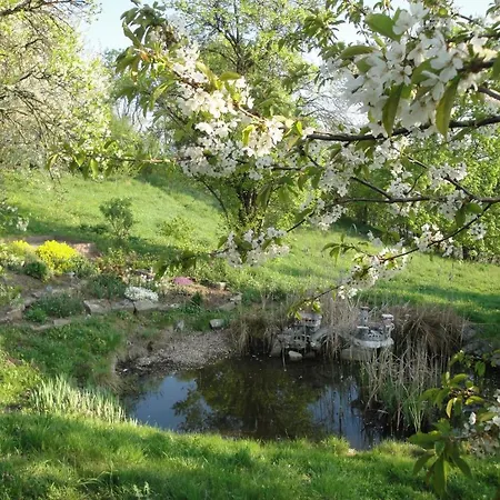 Burgenblick Garni&tagungshotel Hotel 3*